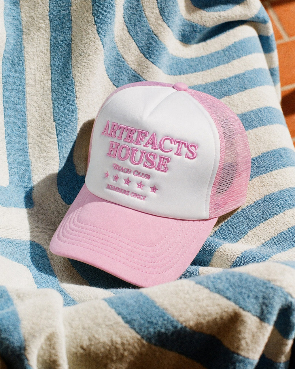 Artefacts House Trucker Cap